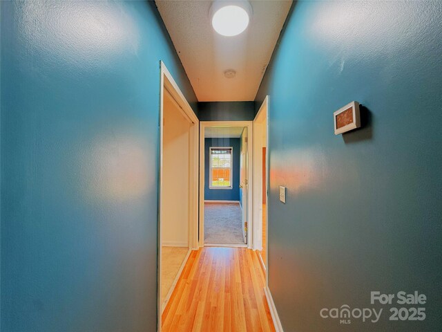 7456 Courtney Pines Rd, Wilmington, NC 28411 - photo 30