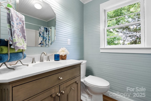 73 20th Ave SW, Hickory, NC 28602 - bathroom with ornamental molding, vanity, toilet, and curtained shower
