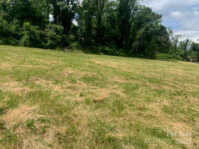 3.02AC 9th Ave E, Hendersonville, NC 28792 - photo 6