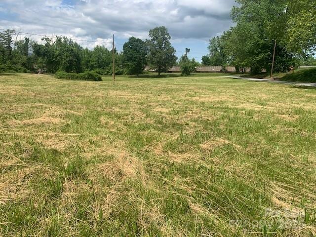 3.02AC 9th Ave E, Hendersonville, NC 28792 - photo 8