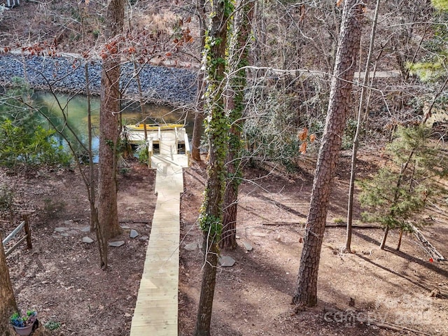 2143 Manawa Ln, Tega Cay, SC 29708 - view of yard with a water view