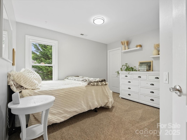 2821 Providence Spring Ln, Charlotte, NC 28270 - bedroom with light carpet