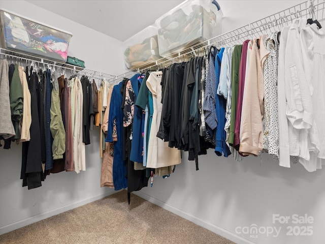 2821 Providence Spring Ln, Charlotte, NC 28270 - walk in closet featuring carpet floors