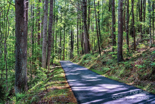 1003 Glory Dr Unit 60, Morganton, NC 28655 - view of street featuring a view of trees