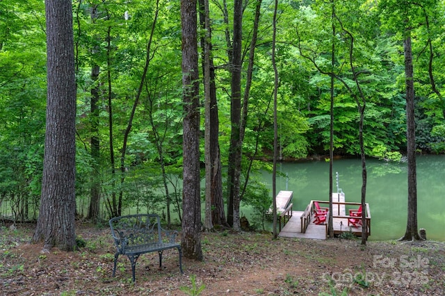 1003 Glory Dr Unit 60, Morganton, NC 28655 - dock featuring a water view and a view of trees