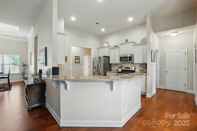 141 Tall Fern Loop, Mooresville, NC 28117 - kitchen with stainless steel appliances, a breakfast bar, light stone countertops, dark wood-style floors, and recessed lighting