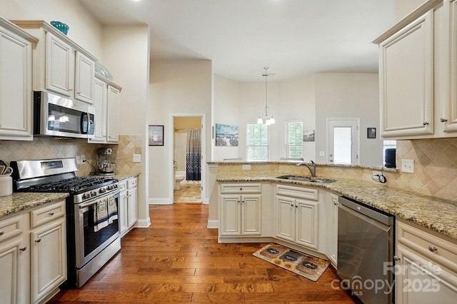 141 Tall Fern Loop, Mooresville, NC 28117 - kitchen with stainless steel appliances, a sink, a peninsula, hardwood / wood-style flooring, and a chandelier