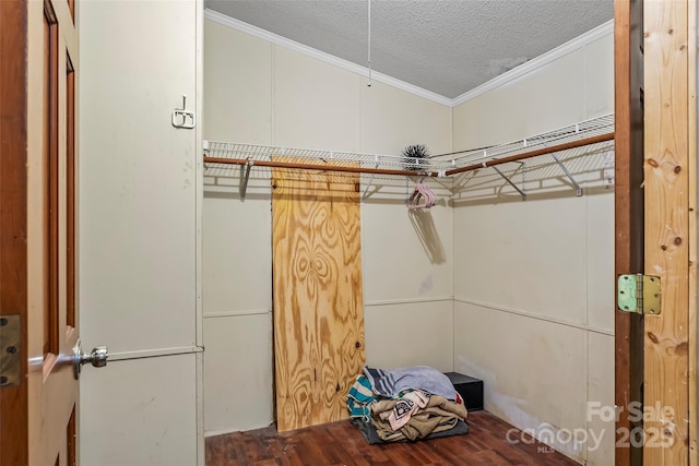 42 Evita Cove Rd, Weaverville, NC 28787 - walk in closet featuring wood finished floors