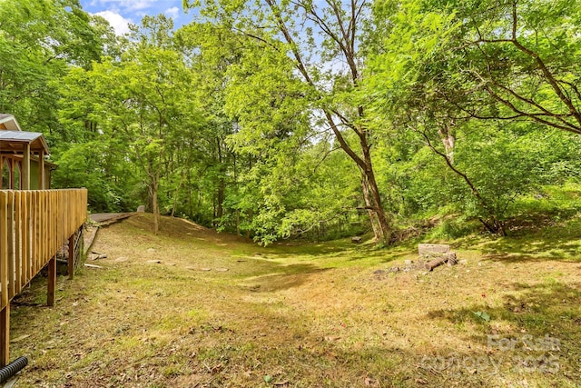 42 Evita Cove Rd, Weaverville, NC 28787 - view of yard