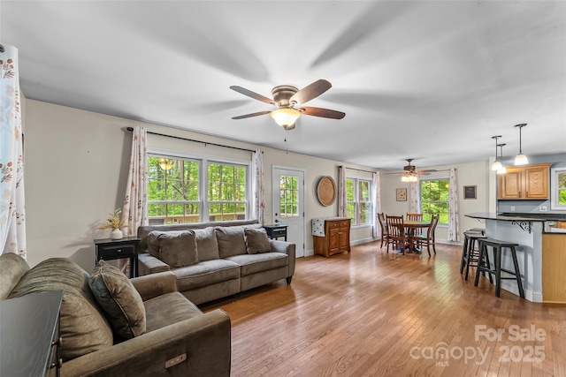 32 Evita Cove Rd, Weaverville, NC 28787 - living area featuring ceiling fan and light wood finished floors