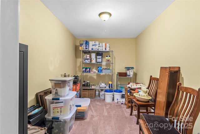 32 Evita Cove Rd, Weaverville, NC 28787 - view of storage room