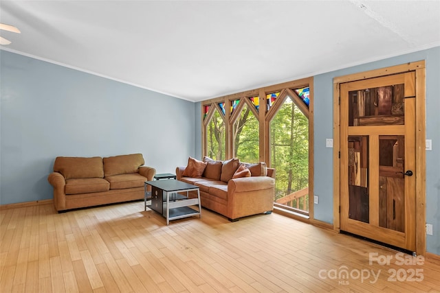 32 Evita Cove Rd, Weaverville, NC 28787 - living room with ornamental molding, light wood-style flooring, and baseboards