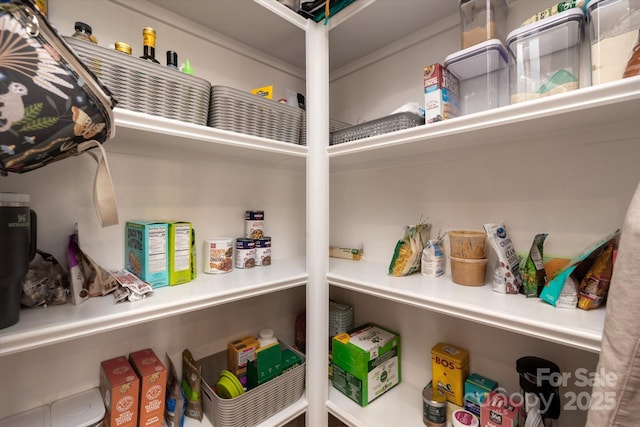 20216 Shaffer Bach Ln, Charlotte, NC 28277 - view of pantry
