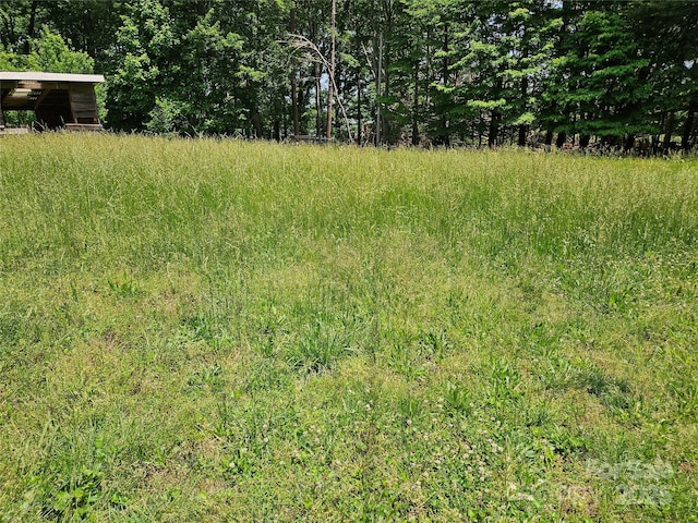 368 Settlemyre Rd, Morganton, NC 28655 - view of local wilderness