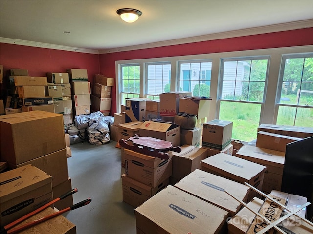368 Settlemyre Rd, Morganton, NC 28655 - office featuring plenty of natural light, crown molding, and finished concrete floors