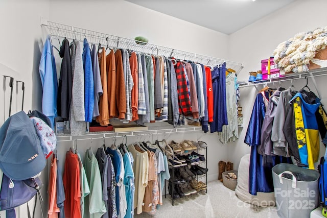 1155 Rudder Cir, Salisbury, NC 28146 - spacious closet with carpet