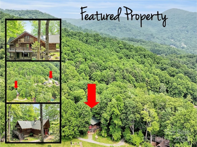 429 Biodome Dr, Waynesville, NC 28785 - aerial view of property's location featuring a heavily wooded area and property parcel outlined