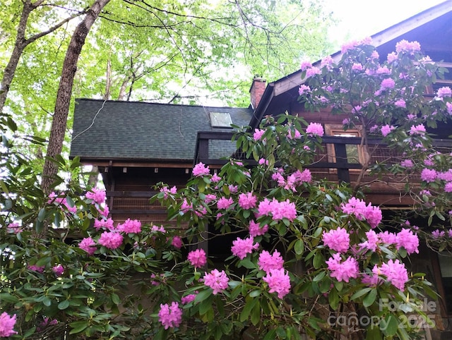 429 Biodome Dr, Waynesville, NC 28785 - exterior view of a chimney and a shingled roof