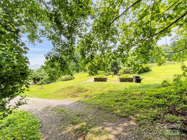 429 Biodome Dr, Waynesville, NC 28785 - view of grassy yard featuring a garden