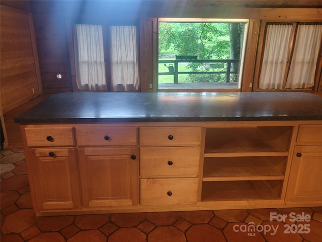 429 Biodome Dr, Waynesville, NC 28785 - kitchen featuring dark countertops