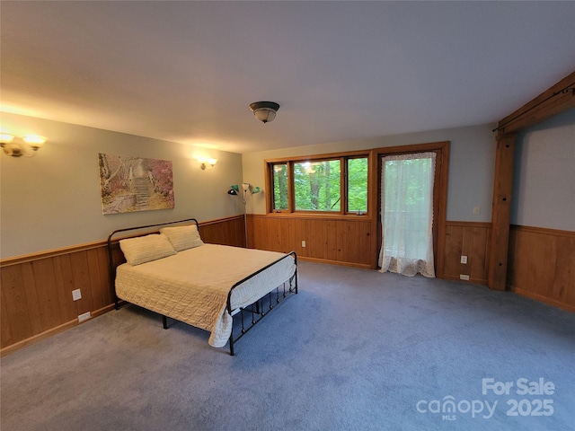 429 Biodome Dr, Waynesville, NC 28785 - carpeted bedroom with wood walls and a wainscoted wall