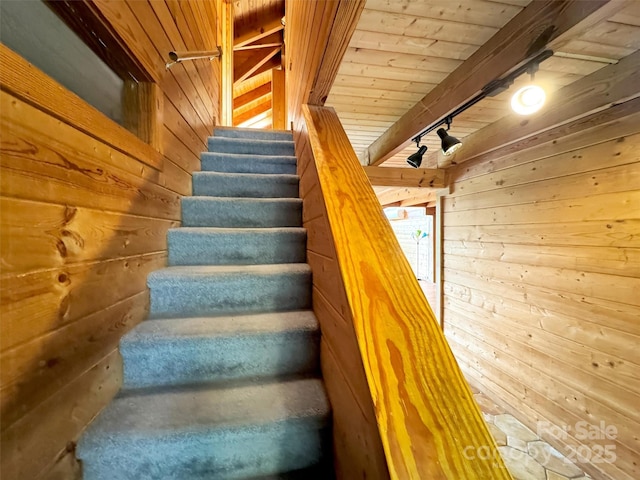 429 Biodome Dr, Waynesville, NC 28785 - stairway featuring wooden walls, rail lighting, and wooden ceiling