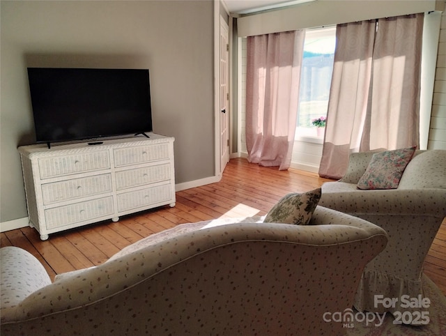 429 Biodome Dr, Waynesville, NC 28785 - living room featuring wood-type flooring and baseboards