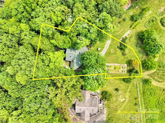 429 Biodome Dr, Waynesville, NC 28785 - aerial overview of property's location featuring property parcel outlined