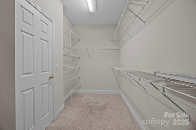 10501 Mount Olive Estates Dr Unit 7, Mount Pleasant, NC 28124 - spacious closet with carpet floors