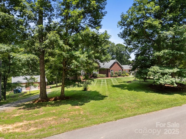 10501 Mount Olive Estates Dr Unit 7, Mount Pleasant, NC 28124 - view of green lawn