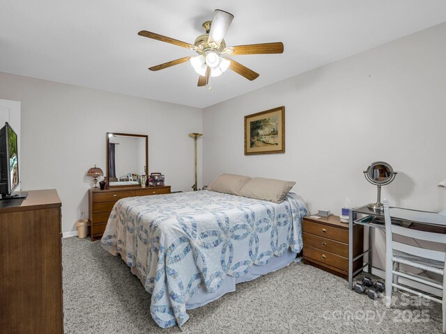 191 Big Cedar Dr, Rutherfordton, NC 28139 - photo 24