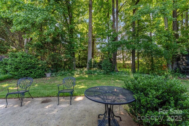 9419 Olivia Ln, Charlotte, NC 28277 - view of patio / terrace