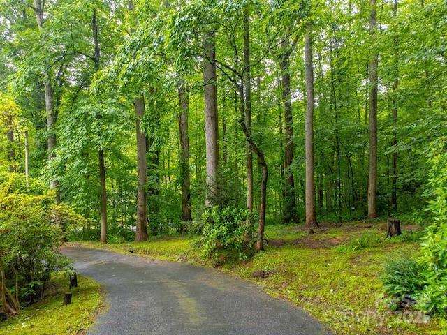 302 Mitchell Rd, Sylva, NC 28779 - view of road featuring a forest view
