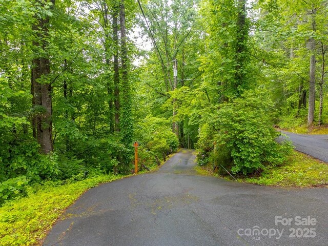 302 Mitchell Rd, Sylva, NC 28779 - view of asphalt road featuring a view of trees