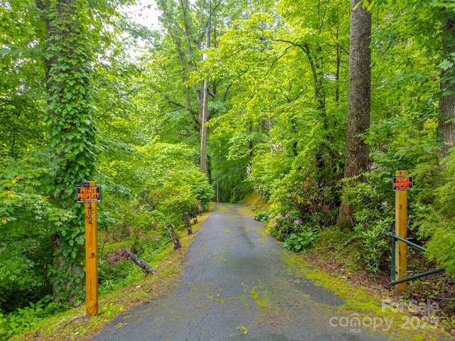 302 Mitchell Rd, Sylva, NC 28779 - view of street featuring a view of trees