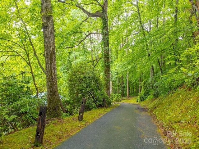 302 Mitchell Rd, Sylva, NC 28779 - view of home's community featuring a wooded view and asphalt driveway
