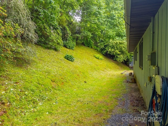 302 Mitchell Rd, Sylva, NC 28779 - view of yard