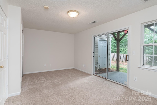 10548 English Setter Way, Charlotte, NC 28269 - unfurnished bedroom with access to exterior, carpet flooring, multiple windows, and a textured ceiling