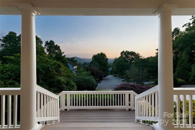 22 Rosebay Ln, Asheville, NC 28803 - photo 5