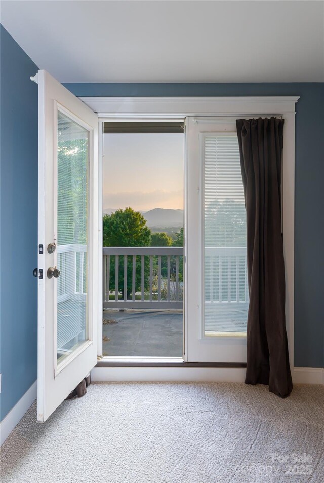 22 Rosebay Ln, Asheville, NC 28803 - photo 24