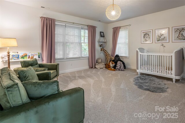 22 Rosebay Ln, Asheville, NC 28803 - photo 29