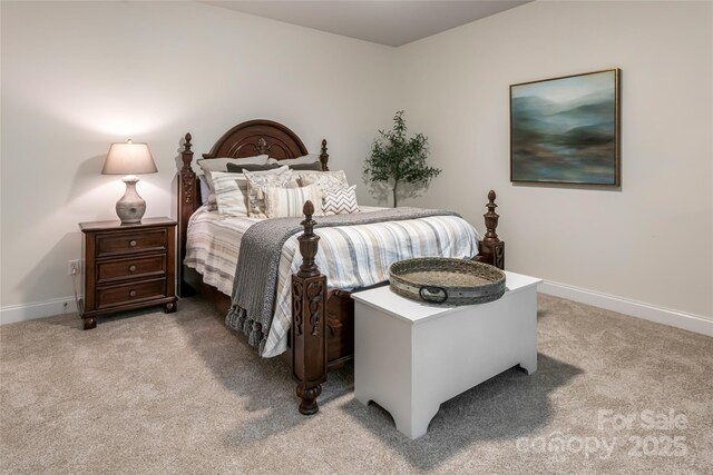 22 Rosebay Ln, Asheville, NC 28803 - photo 30