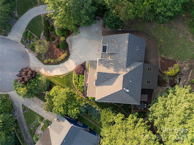 22 Rosebay Ln, Asheville, NC 28803 - photo 48
