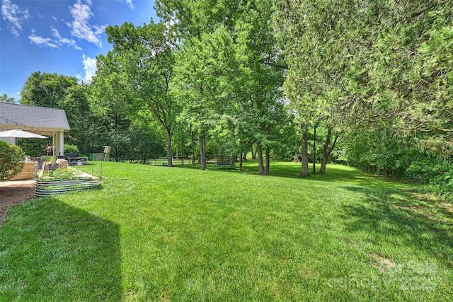 7022 Lancer Dr, Charlotte, NC 28226 - view of grassy yard featuring a garden