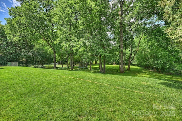 7022 Lancer Dr, Charlotte, NC 28226 - view of yard