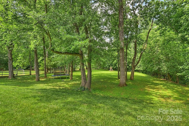 7022 Lancer Dr, Charlotte, NC 28226 - view of yard featuring a trampoline