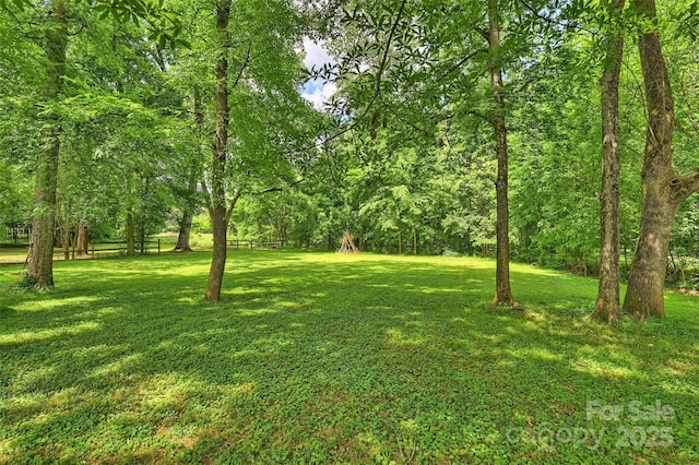 7022 Lancer Dr, Charlotte, NC 28226 - view of grassy yard