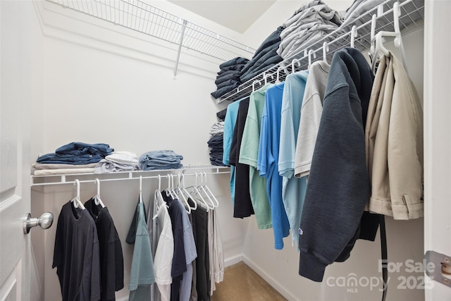 444 Battery Cir, Clover, SC 29710 - spacious closet with carpet