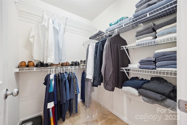 444 Battery Cir, Clover, SC 29710 - walk in closet with carpet flooring