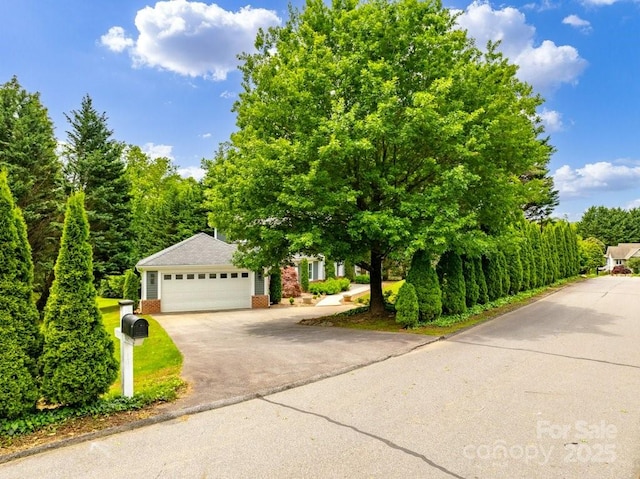 74 Eastmoor Dr, Asheville, NC 28805 - obstructed view of property with brick siding, asphalt driveway, and an attached garage